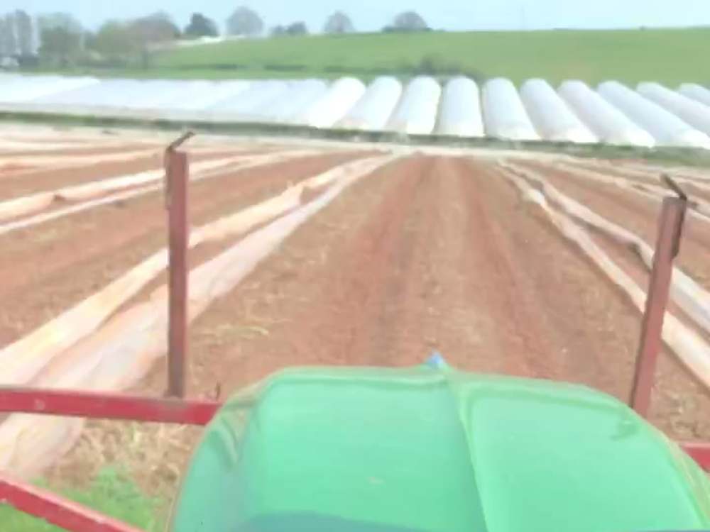 Cobrey fields from a tractor: rows of beds under agrofabric stretch to the horizon, beyond a row of polytunnels and green Herefordshire hills