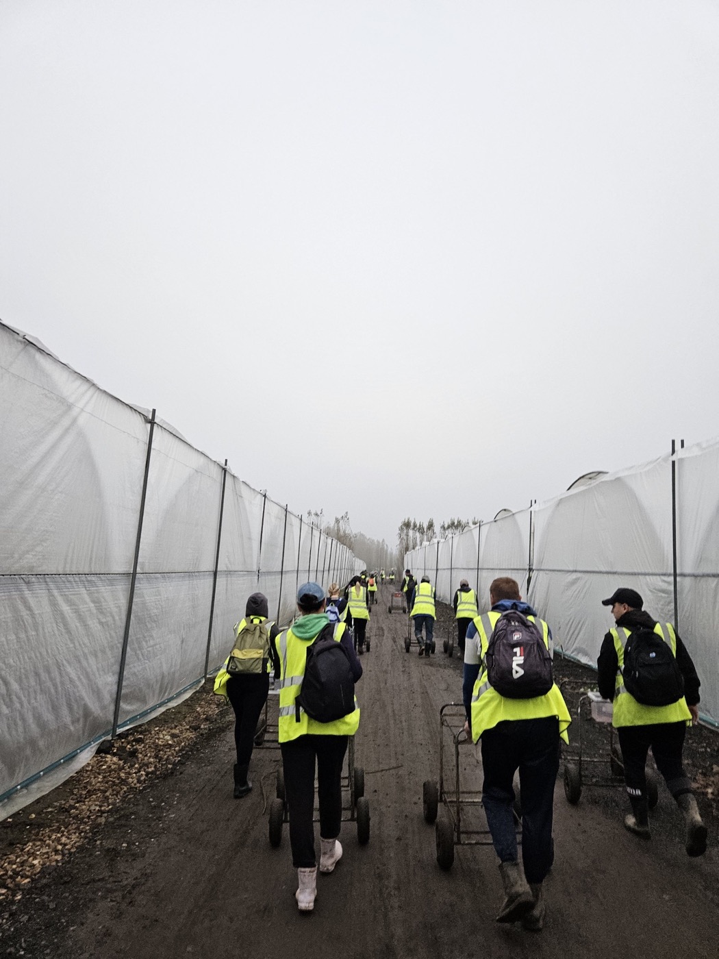 Start of the shift: workers walking to the tunnels with trolleys
